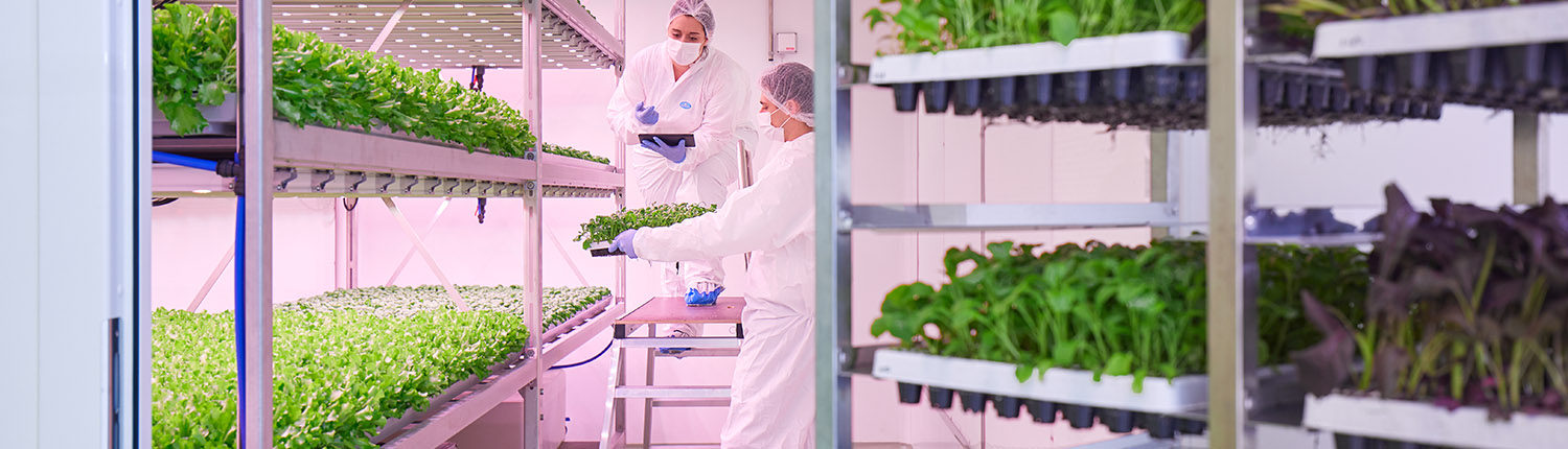 Vertical Farming