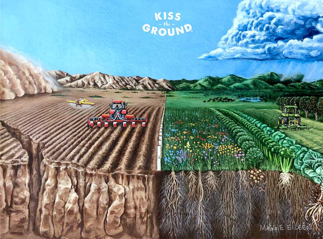 Agricoltura rigenerativa