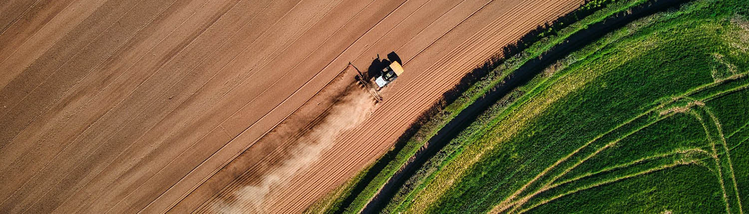 Agricoltura rigenerativa