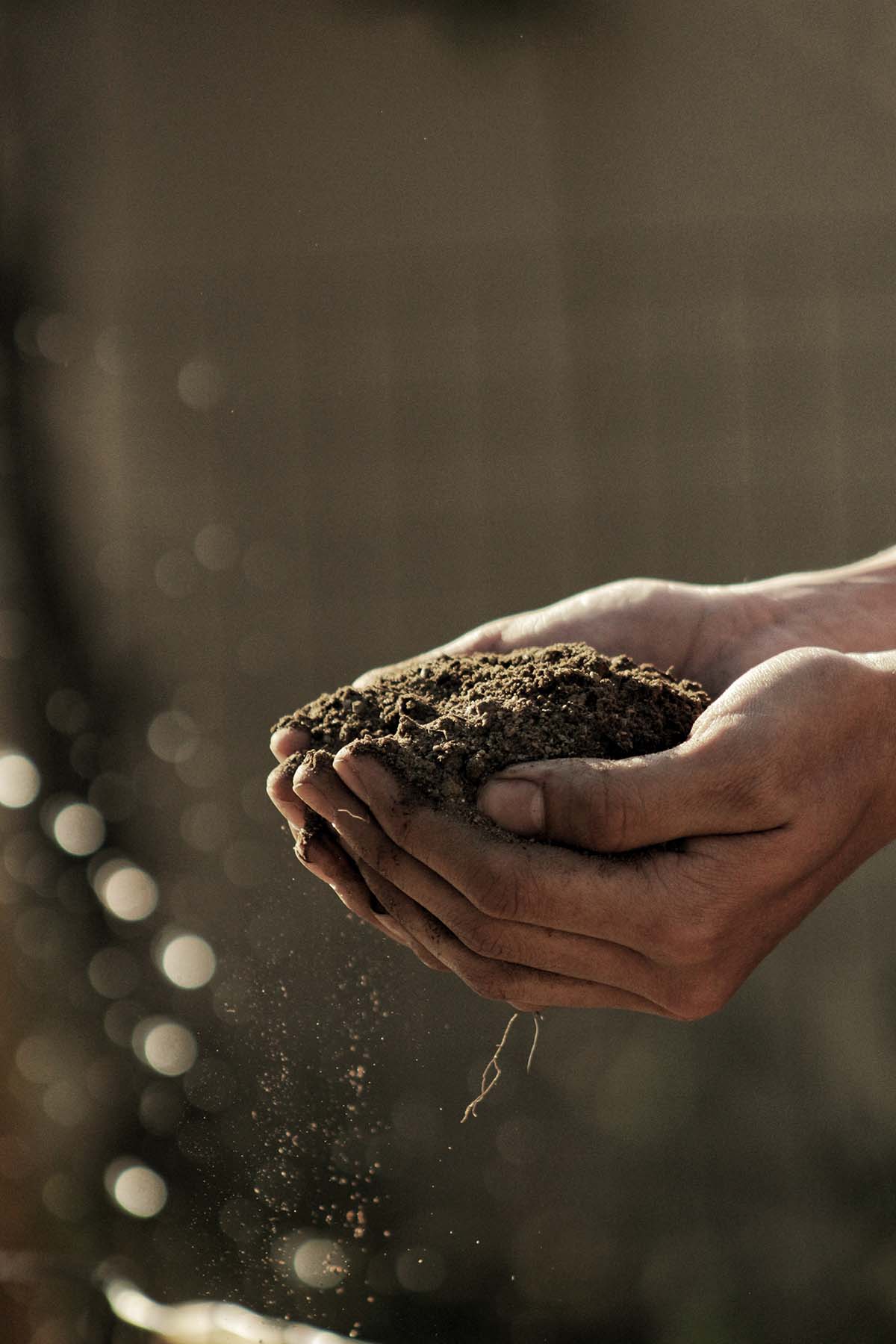 L’agricoltura sostenibile