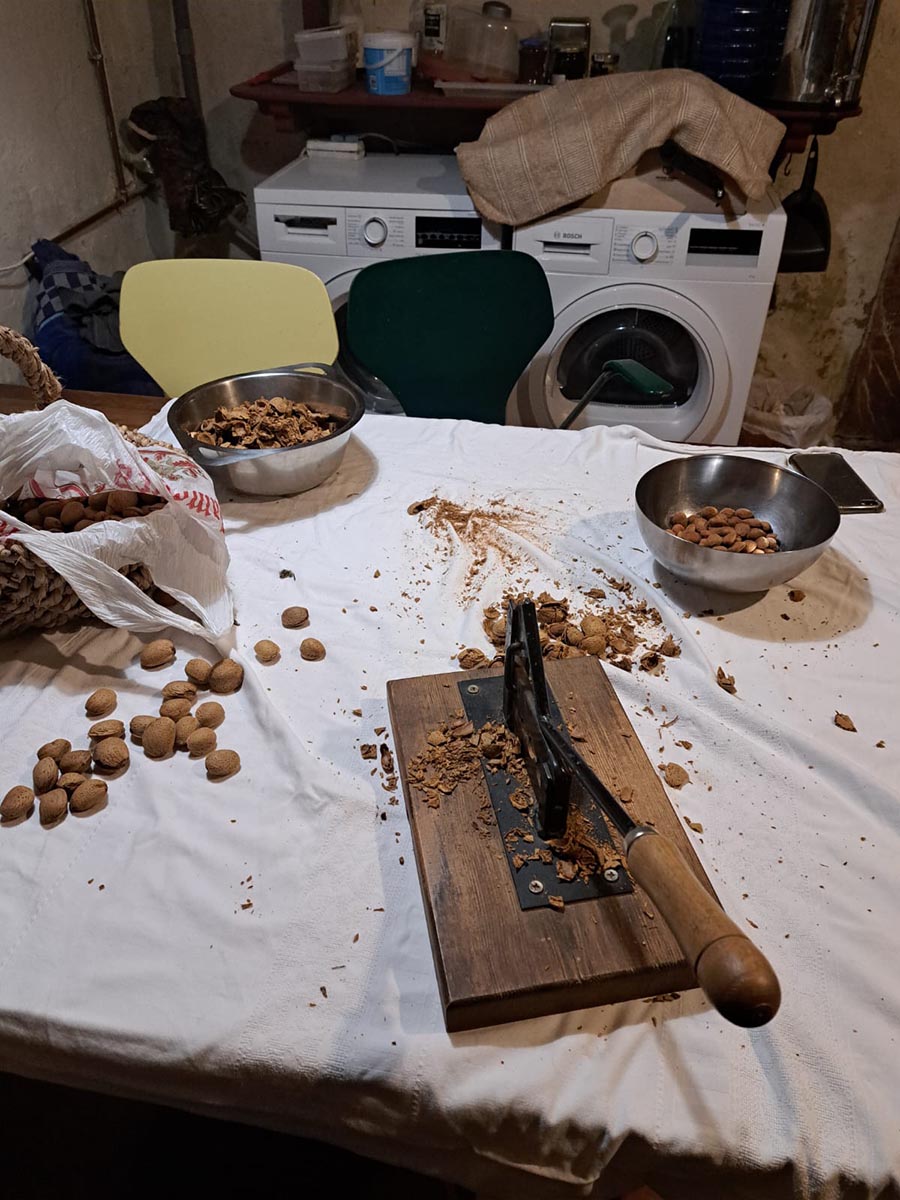 Attività holistic managment