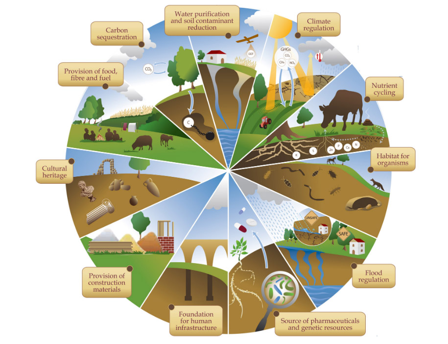 Ecosystem services soil