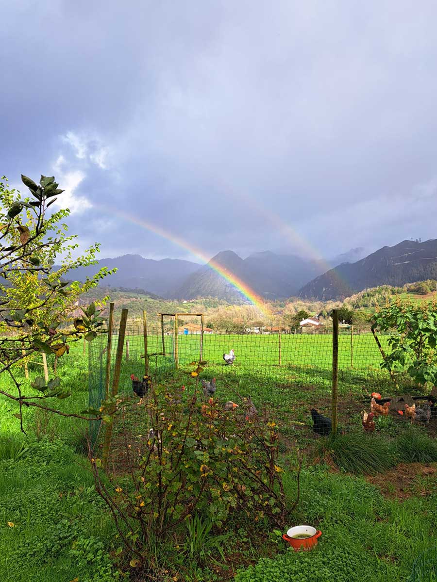 Palacio de Livia di Tom e Cecilia