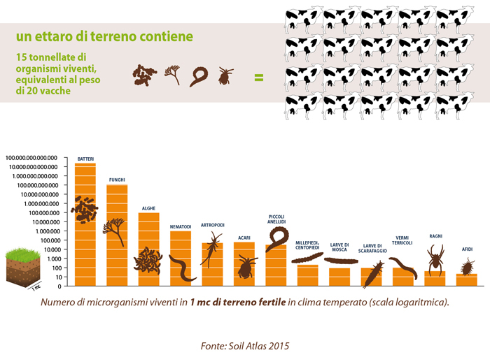 Suolo Slow food