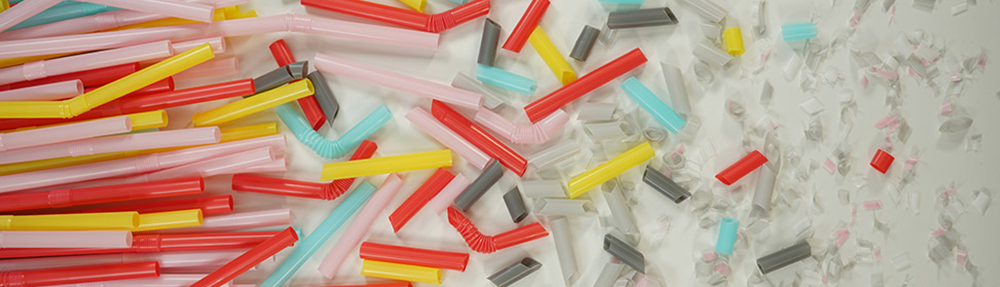 Microplastiche e rischi